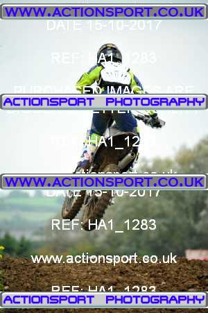 Photo: HA1_1283 ActionSport Photography 15/10/2017 MCF South Somerset MX - Grittenham _1_AdultsOpen #46