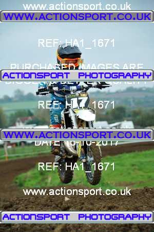 Photo: HA1_1671 ActionSport Photography 15/10/2017 MCF South Somerset MX - Grittenham _4_65s #17