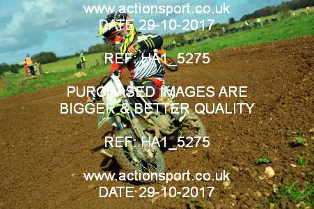 Photo: HA1_5275 ActionSport Photography 29/10/2017 Thornbury MX Practice - Minchinhampton 1145_65s-85s #16
