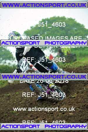 Photo: J51_4603 ActionSport Photography 26/05/2018 Thornbury MX Practice - Thornbury Moto Park 1030_Experts-Seniors #12
