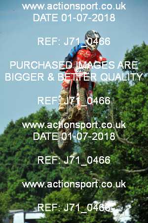 Photo: J71_0466 ActionSport Photography 01/07/2018 AMCA Cheltenham Spa SC [RAF Championship] - Brookthorpe  _3_OpenExperts #268