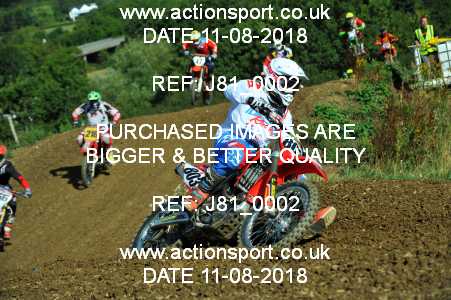 Photo: J81_0002 ActionSport Photography 11/08/2018 AMCA Cheltenham Spa SC - Brookthorpe  _1_MX1Seniors #803