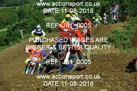 Photo: J81_0005 ActionSport Photography 11/08/2018 AMCA Cheltenham Spa SC - Brookthorpe  _1_MX1Seniors #47