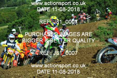 Photo: J81_0007 ActionSport Photography 11/08/2018 AMCA Cheltenham Spa SC - Brookthorpe  _1_MX1Seniors #36