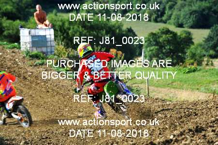 Photo: J81_0023 ActionSport Photography 11/08/2018 AMCA Cheltenham Spa SC - Brookthorpe  _1_MX1Seniors #36