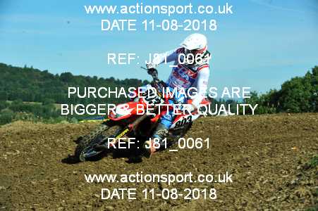 Photo: J81_0061 ActionSport Photography 11/08/2018 AMCA Cheltenham Spa SC - Brookthorpe  _1_MX1Seniors #803