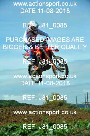 Photo: J81_0085 ActionSport Photography 11/08/2018 AMCA Cheltenham Spa SC - Brookthorpe  _1_MX1Seniors #803