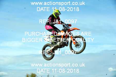Photo: J81_0097 ActionSport Photography 11/08/2018 AMCA Cheltenham Spa SC - Brookthorpe  _1_MX1Seniors #24
