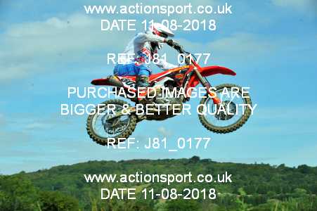 Photo: J81_0177 ActionSport Photography 11/08/2018 AMCA Cheltenham Spa SC - Brookthorpe  _1_MX1Seniors #803