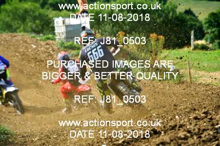 Photo: J81_0503 ActionSport Photography 11/08/2018 AMCA Cheltenham Spa SC - Brookthorpe  _4_MX1-MX2Experts #666
