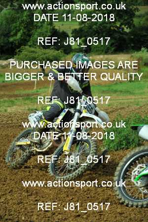 Photo: J81_0517 ActionSport Photography 11/08/2018 AMCA Cheltenham Spa SC - Brookthorpe  _4_MX1-MX2Experts #666