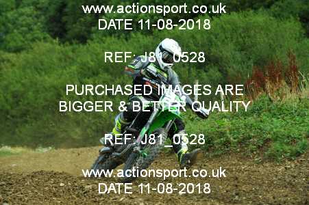Photo: J81_0528 ActionSport Photography 11/08/2018 AMCA Cheltenham Spa SC - Brookthorpe  _4_MX1-MX2Experts #27