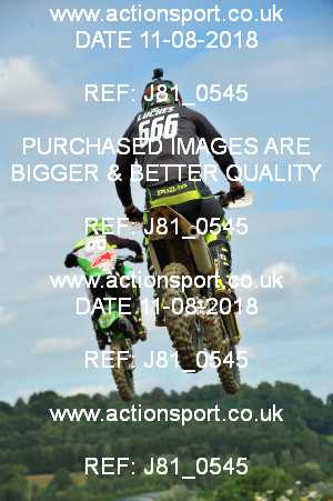 Photo: J81_0545 ActionSport Photography 11/08/2018 AMCA Cheltenham Spa SC - Brookthorpe  _4_MX1-MX2Experts #666