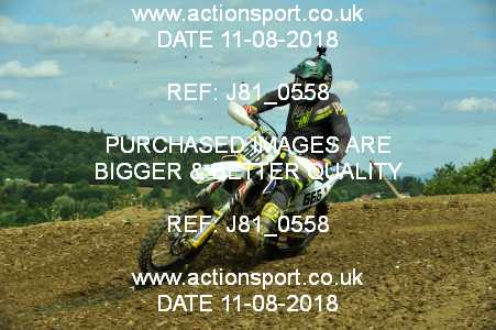 Photo: J81_0558 ActionSport Photography 11/08/2018 AMCA Cheltenham Spa SC - Brookthorpe  _4_MX1-MX2Experts #666