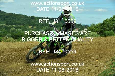 Photo: J81_0559 ActionSport Photography 11/08/2018 AMCA Cheltenham Spa SC - Brookthorpe  _4_MX1-MX2Experts #27