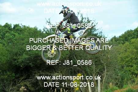 Photo: J81_0586 ActionSport Photography 11/08/2018 AMCA Cheltenham Spa SC - Brookthorpe  _4_MX1-MX2Experts #666