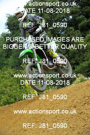 Photo: J81_0590 ActionSport Photography 11/08/2018 AMCA Cheltenham Spa SC - Brookthorpe  _4_MX1-MX2Experts #27