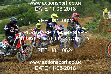 Photo: J81_0624 ActionSport Photography 11/08/2018 AMCA Cheltenham Spa SC - Brookthorpe  _5_MX2Seniors #8