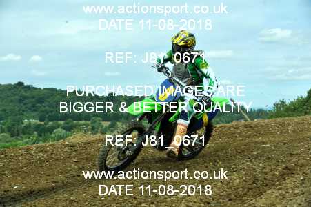 Photo: J81_0671 ActionSport Photography 11/08/2018 AMCA Cheltenham Spa SC - Brookthorpe  _5_MX2Seniors #8