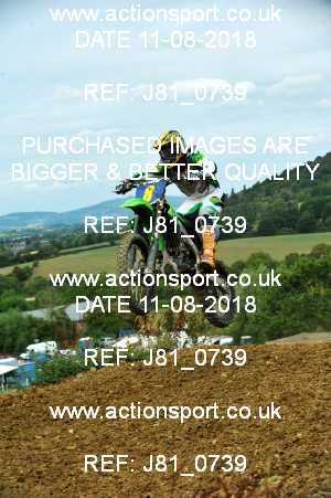 Photo: J81_0739 ActionSport Photography 11/08/2018 AMCA Cheltenham Spa SC - Brookthorpe  _5_MX2Seniors #8