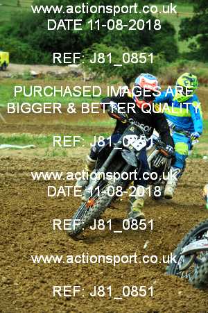 Photo: J81_0851 ActionSport Photography 11/08/2018 AMCA Cheltenham Spa SC - Brookthorpe  _6_MX2Juniors #48