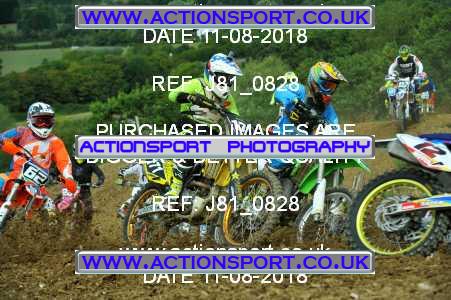 Photo: J81_0828 ActionSport Photography 11/08/2018 AMCA Cheltenham Spa SC - Brookthorpe  _6_MX2Juniors #171