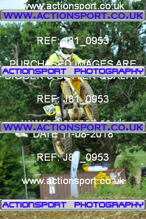 Photo: J81_0953 ActionSport Photography 11/08/2018 AMCA Cheltenham Spa SC - Brookthorpe  _6_MX2Juniors #171