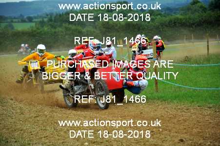 Photo: J81_1466 ActionSport Photography 18/08/2018 Somerset Scramble Club - Cotley  _1_Sidecars #113
