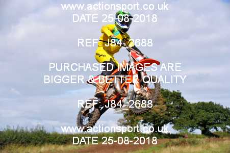 Photo: J84_2688 ActionSport Photography 25/08/2018 Thornbury MX Practice - Thornbury Moto Park 1010AM_65s-85s #7