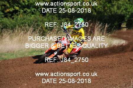Photo: J84_2750 ActionSport Photography 25/08/2018 Thornbury MX Practice - Thornbury Moto Park 1010AM_65s-85s #7