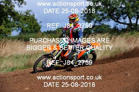 Photo: J84_2759 ActionSport Photography 25/08/2018 Thornbury MX Practice - Thornbury Moto Park 1030AM_Experts-Seniors #17