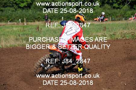 Photo: J84_2847 ActionSport Photography 25/08/2018 Thornbury MX Practice - Thornbury Moto Park 1030AM_Experts-Seniors #17