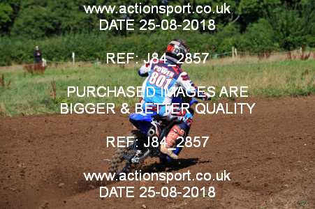 Photo: J84_2857 ActionSport Photography 25/08/2018 Thornbury MX Practice - Thornbury Moto Park 1030AM_Experts-Seniors #801