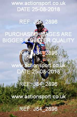 Photo: J84_2896 ActionSport Photography 25/08/2018 Thornbury MX Practice - Thornbury Moto Park 1030AM_Experts-Seniors #801