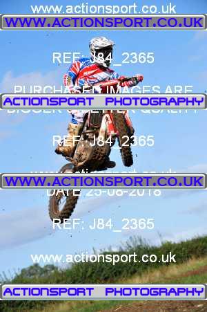 Photo: J84_2365 ActionSport Photography 25/08/2018 Thornbury MX Practice - Thornbury Moto Park 0930AM_Experts-Seniors #52