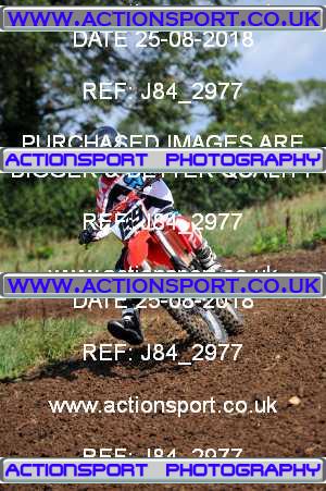 Photo: J84_2977 ActionSport Photography 25/08/2018 Thornbury MX Practice - Thornbury Moto Park 1050AM_Juniors-Seniors #199