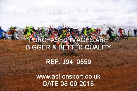 Photo: J94_0559 ActionSport Photography 08/09/2018 MCF Portsmouth MXC [Sat] - Swanmore _5_MX1_Vets #9990