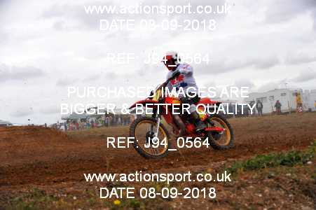 Photo: J94_0564 ActionSport Photography 08/09/2018 MCF Portsmouth MXC [Sat] - Swanmore _5_MX1_Vets #1